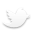 Twitter social icon